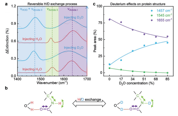 Adv. Mater.:國(guó)家納米中心利用紅外光譜原位識(shí)別液體中的納米級(jí)生物分子(圖5) 圖4 石墨烯等離激元增強(qiáng).png