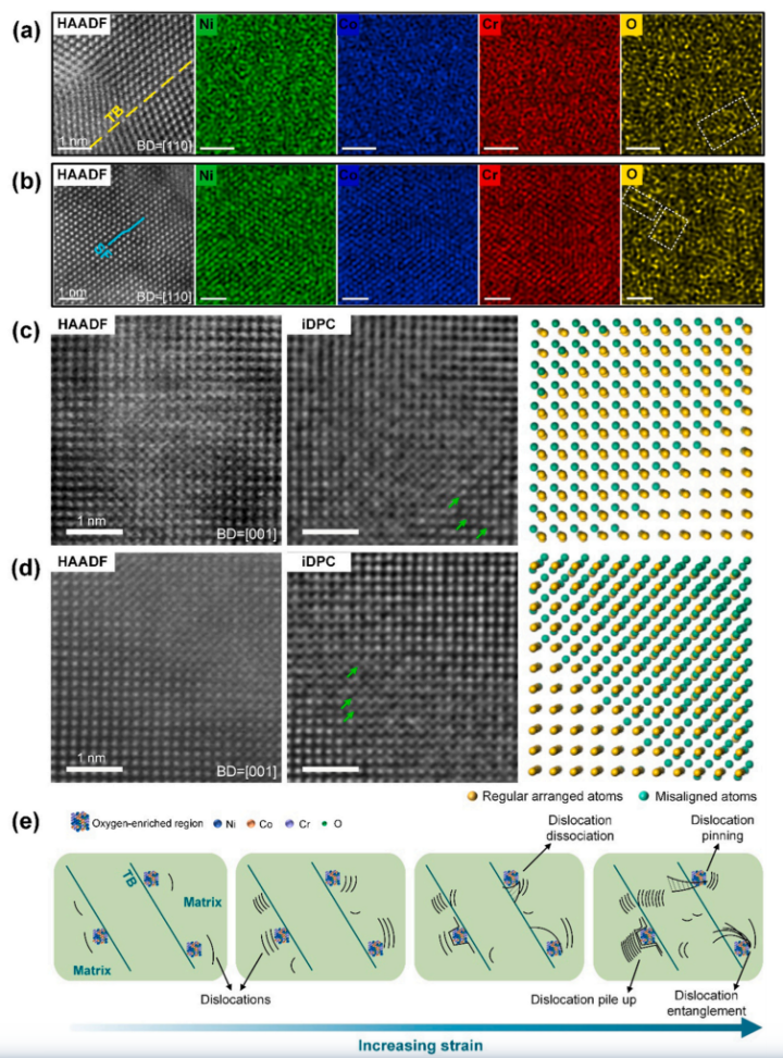 NiCoCrO合金位錯-孿晶界相互作用的內(nèi)在機(jī)制
