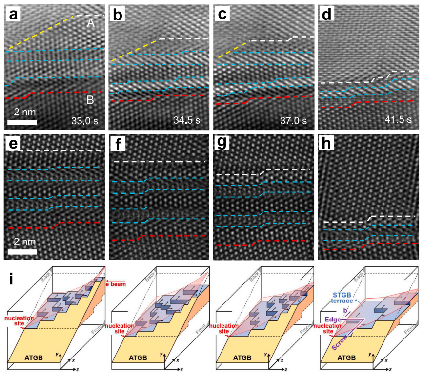 基于分離的三維晶界彎曲的動(dòng)力學(xué)過程 基于分離的三維晶界彎曲的動(dòng)力學(xué)過程