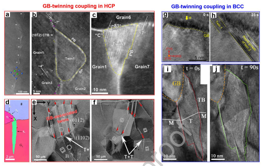 晶界變形與孿晶在其他金屬系統(tǒng)中的耦合