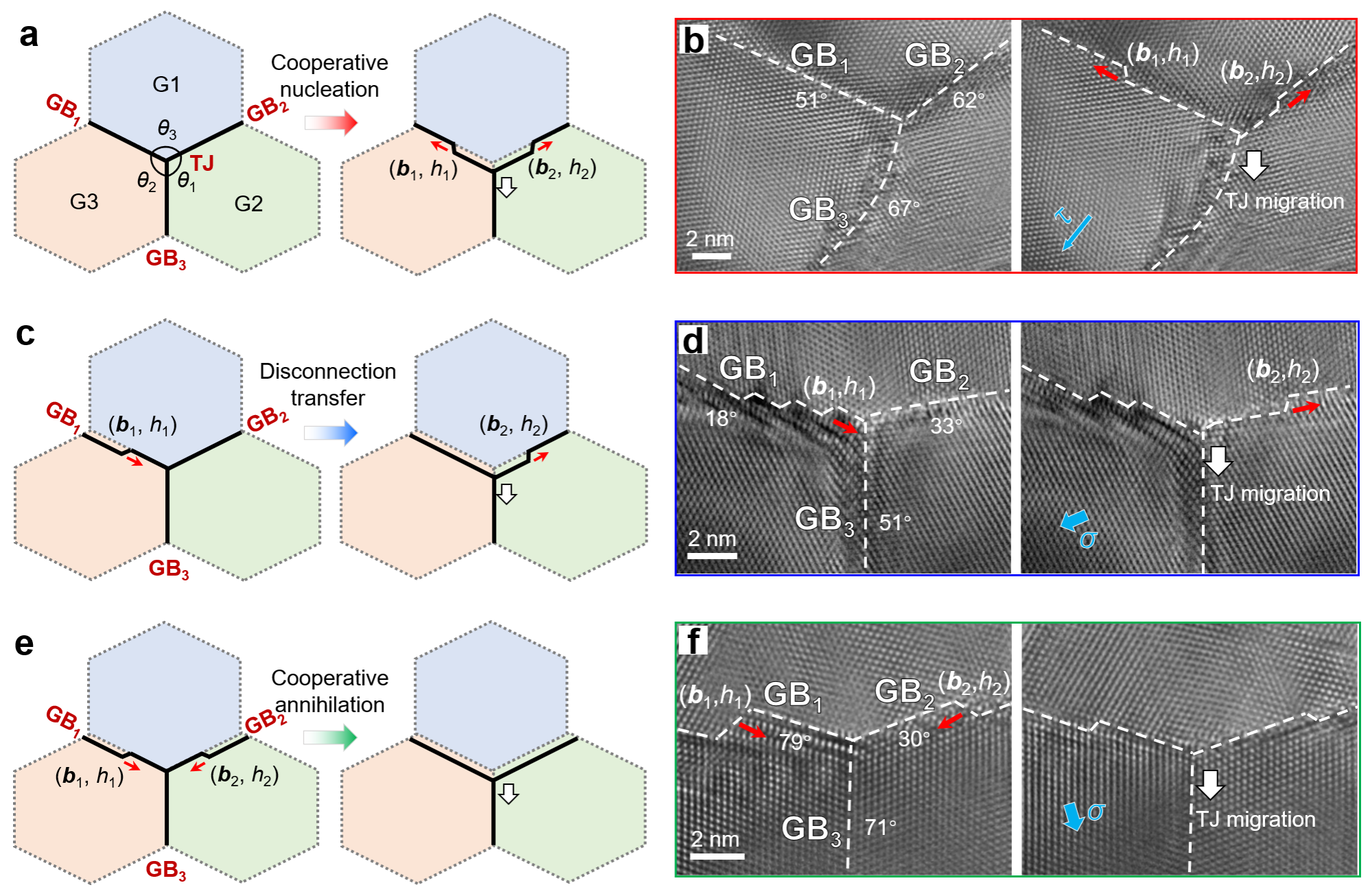 通過鄰近晶界的失配位錯動力學實現(xiàn)穩(wěn)態(tài)TJ遷移 通過鄰近晶界的失配位錯動力學實現(xiàn)穩(wěn)態(tài)TJ遷移