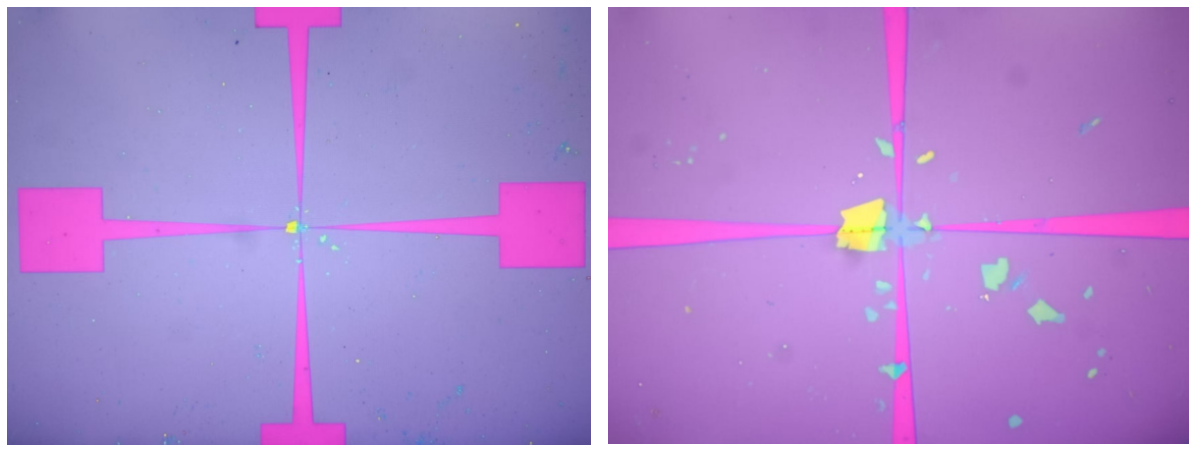 機械剝離的二維材料樣品利用無掩模光刻機光刻電極并鍍膜剝離的結果