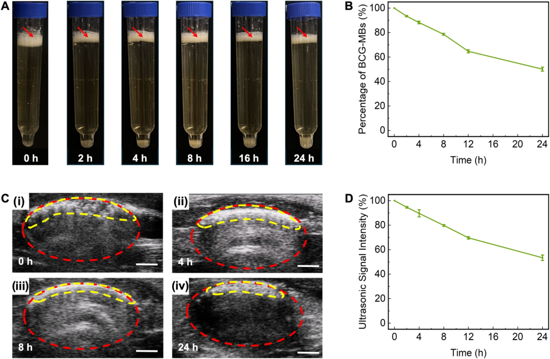 臺(tái)式掃描電鏡