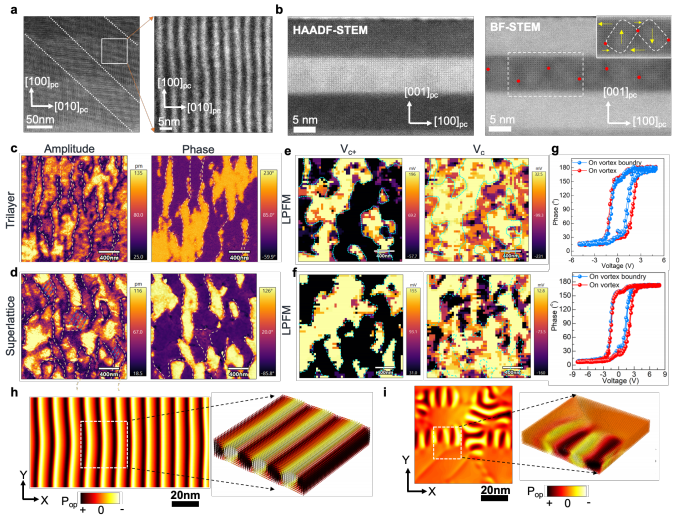澤攸科技原位TEM 澤攸科技原位TEM