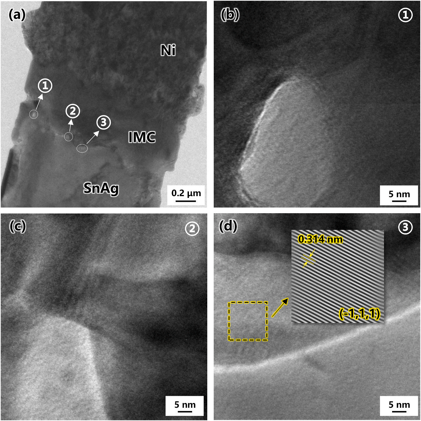 澤攸科技原位TEM 澤攸科技原位TEM