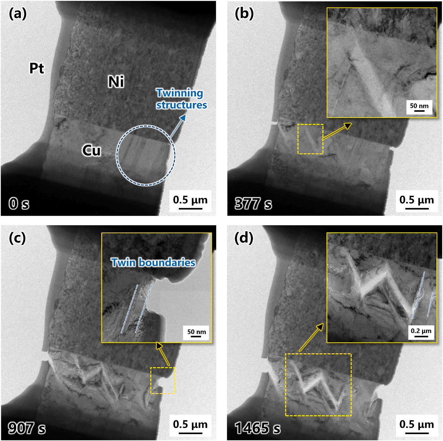 澤攸科技原位TEM 澤攸科技原位TEM