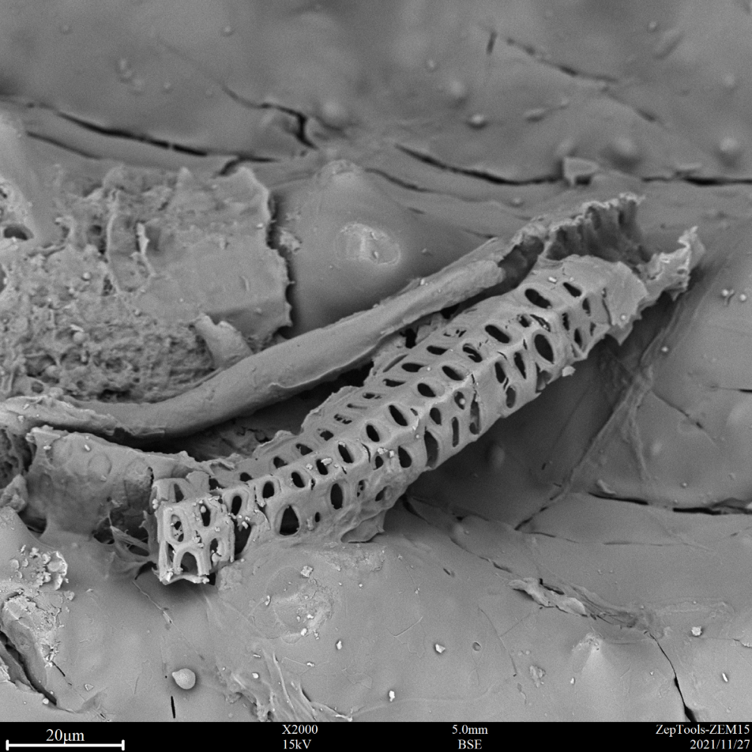 ZEM15臺式掃描電鏡在司法鑒定行業(yè)發(fā)揮著不可忽略的作用(圖1) ZEM15臺式掃描電鏡在司法鑒定行業(yè)發(fā)揮著不可忽略的作用(圖1)